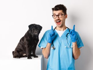 tehnician veterinar