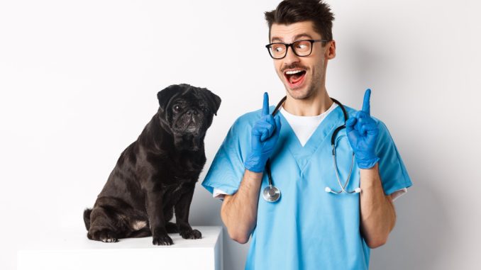 tehnician veterinar